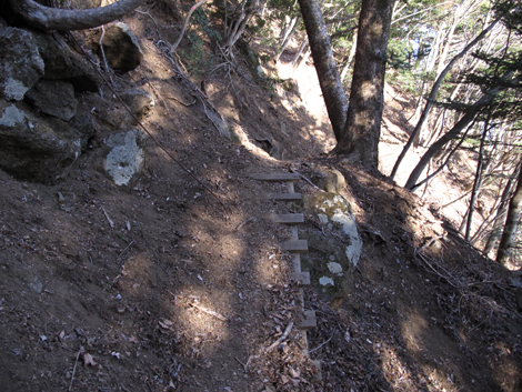 20190108hike (449)